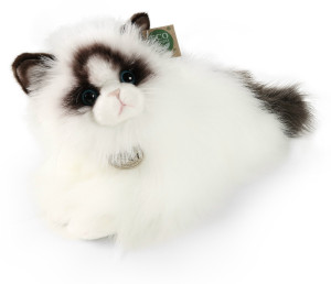 Kotek Ragdoll Leżący - 35cm - pluszak, maskotka