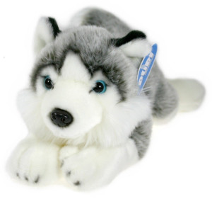 Piesek Husky Leżący DUBI - 34cm - pluszak, maskotka
