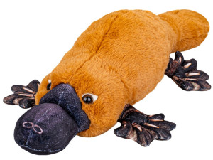 Dziobak - 50cm - pluszak, maskotka