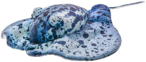Manta Płaszczka - 55cm - pluszak, maskotka