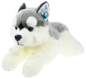 Piesek Husky Leżący DUBI - 61cm - pluszak, maskotka