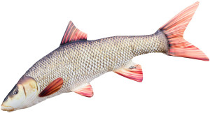 Ryba Brzana - 80cm - pluszak, maskotka