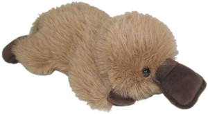 Dziobak - 32cm - pluszak, maskotka