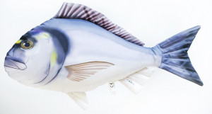 Ryba Dorada - 63cm - pluszak, maskotka