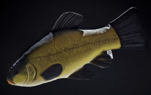 Ryba Lin - 60cm - pluszak, maskotka