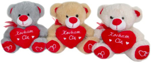 Miś Kocham Cię z sercem 3 kolory - 17cm Model 3 - pluszak, maskotka
