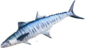 Ryba Makrela Hiszpańska - 97cm - pluszak, maskotka