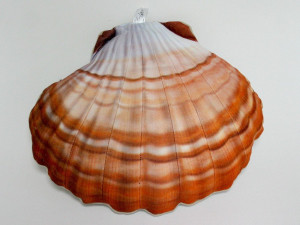 Poduszka Muszla Pomarańczowa Muszelka - 37cm - pluszak, maskotka