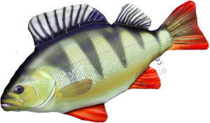 Ryba Okoń Mini - 32cm - pluszak, maskotka