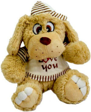 Piesek w czapce i bluzce Love You - 30cm - pluszak, maskotka