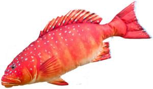 Ryba Pstrąg Koralowy - 81cm - pluszak, maskotka