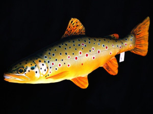 Ryba Pstrąg Potokowy - 62cm - pluszak, maskotka