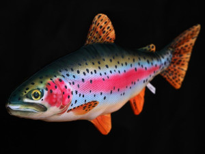 Ryba Pstrąg Tęczowy - 62cm - pluszak, maskotka