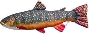 Ryba Pstrąg Źródlany Mini - 35cm - pluszak, maskotka