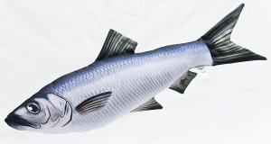 Śledź Ryba - 60cm - pluszak, maskotka