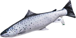 Ryba Troć Mini - 51cm - pluszak, maskotka