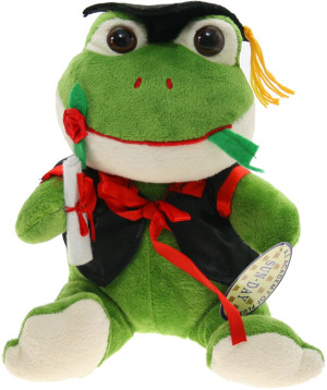 Żaba Absolwent Szkolny - 21cm - pluszak, maskotka
