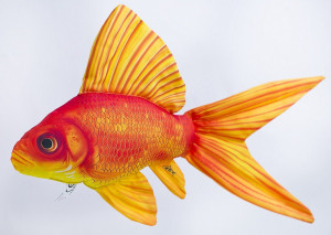 Ryba Złota Rybka - 45cm - pluszak, maskotka