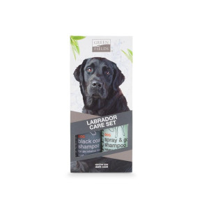Greenfields Labrador Care Set