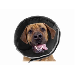 ZenPet ProCollar Halskragen L