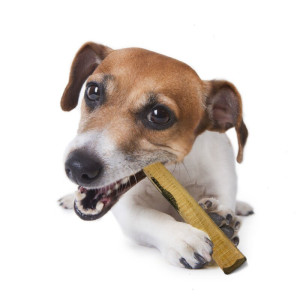 PetLove Ebenholz M 101-220g