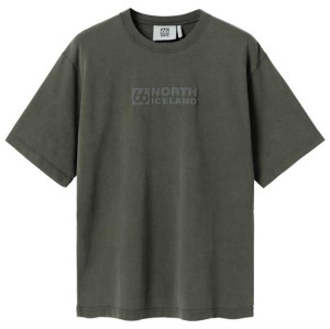 66°North Mens Borgir T-Shirt, Alpine Grimmia