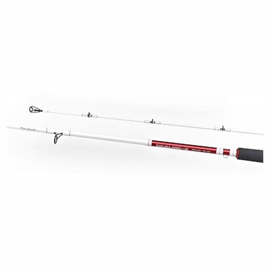 Daiwa Sealine Z Trolling 20H
