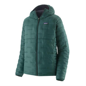 Patagonia Mens Micro Puff Hoody, Cascade Green L