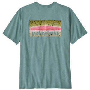 Patagonia Mens Take a Stand Responsibili-Tee, Rainbow Run Blue Sage L