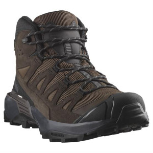 Salomon X Ultra 360 LTR Mid GTX Mens, Dark Earth / Castlerock 44