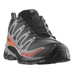 Salomon XA Pro 3D V9 GTX Mens, Turbulence / Black 38