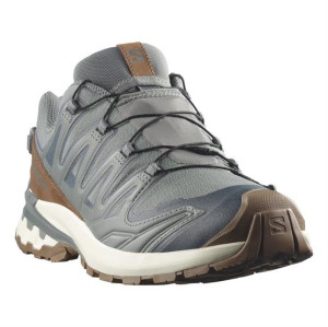 Salomon XA Pro 3D V9 GTX Lifelong Mens, Sedona Sage / Coyote Brown 45