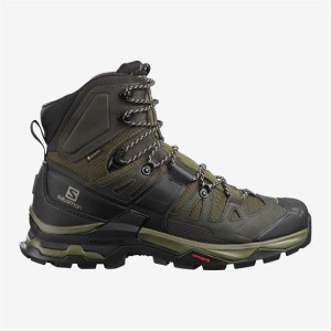 Salomon Quest 4 GTX Mens, Olive Night / Peat 43