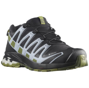Salomon XA Pro 3D v8 GTX Womens, Black / Zen 37