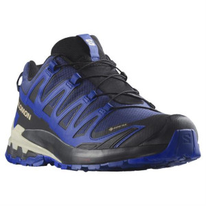 Salomon XA Pro 3D V9 GTX Mens, Blue Print / Surf The Web 44