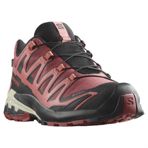 Salomon XA Pro 3D V9 GTX Womens, Cow Hide / Black 43
