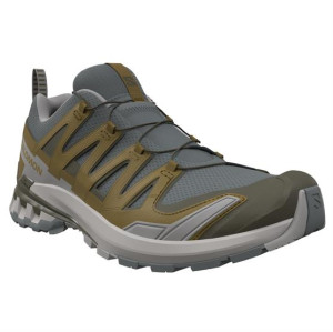 Salomon XA PRO 3D V9 Mens, Sedona Sage / Plantation 42