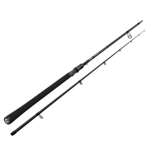 Sportex Seatrout Xpert, 10,3 fod - 10-35 g 5 - 18 gram