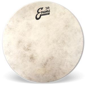 Evans Calftone 18"
