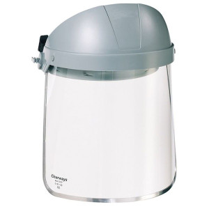 Clearways CB14 Browguard