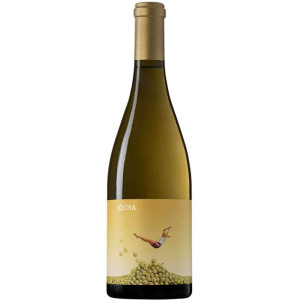 Vino Blanco Ca N'Estruc Idoia D.O. Cataluña 75cl - 2022