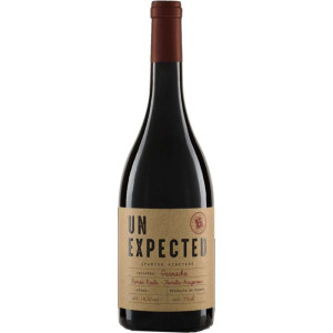 Bodega Aylés Vino Aylés Un Expected 2024 - Exquisito tinto español con graduación de 14,00%