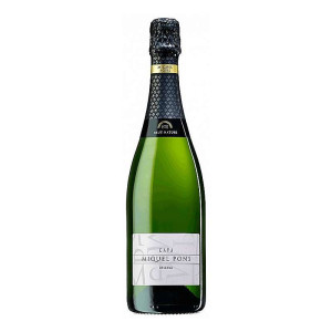 Miquel Pons Brut Nature Reserva 2022 - Vino Espumoso de España con 11,50% de Graduación