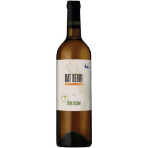Vino Itsasmendi Bat Berri 2022   Fresco y Vibrante   Bodega Itsasmendi