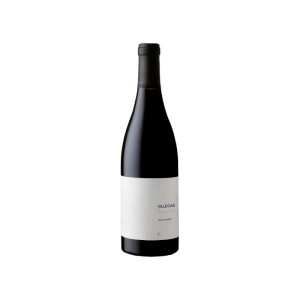 Vino Tinto César Márquez Villegas 2023 D.O. Bierzo 75 cl.