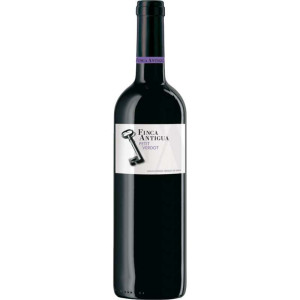 Finca Antigua Petit Verdot 2020 Vino Tinto D.O. La Mancha 75 cl