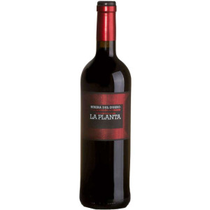 Bodegas Arzuaga Navarro La Planta 2024 Vino Tinto D.O. Ribera del Duero 75 cl