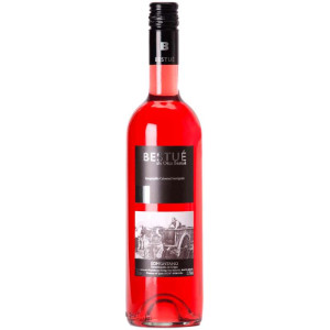 Otto Bestué Bestué Rosado 2024 - Vino Rosado de España con Graduación 13,50%