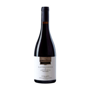 La Forcallà de Antonia 2024 - Vino tinto español de Bodega Rafael Cambra, 75cl, 14% vol.