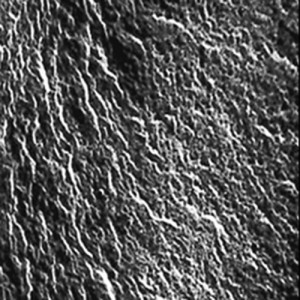 Kationenaustauscher-Membran für die Basendialyse Stärke: 0,03 mm / Abmessung: 30 x 30 cm / Einheit: 1 Stück